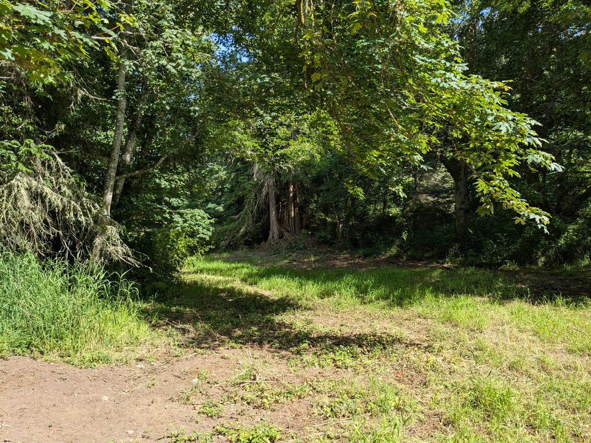 Hole 17 Tee