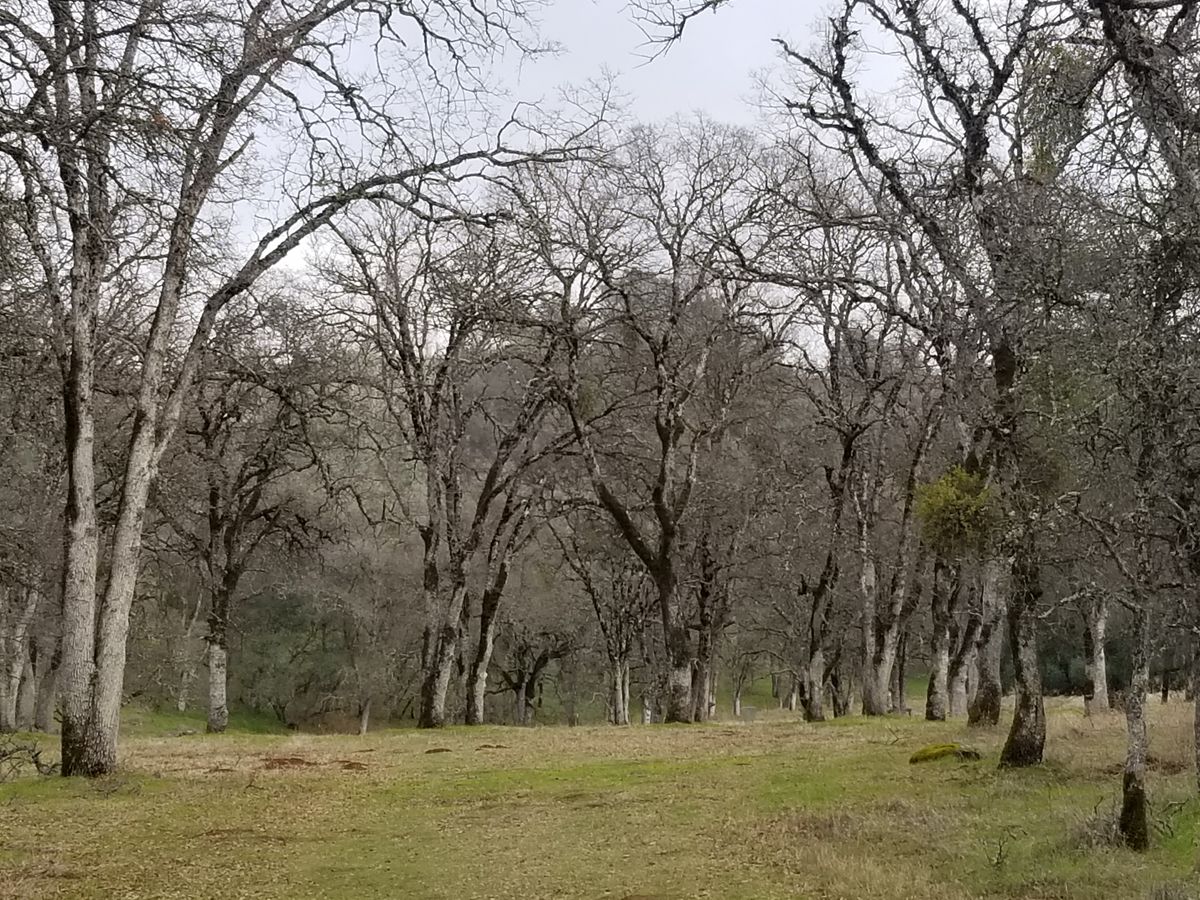 Hole 14
