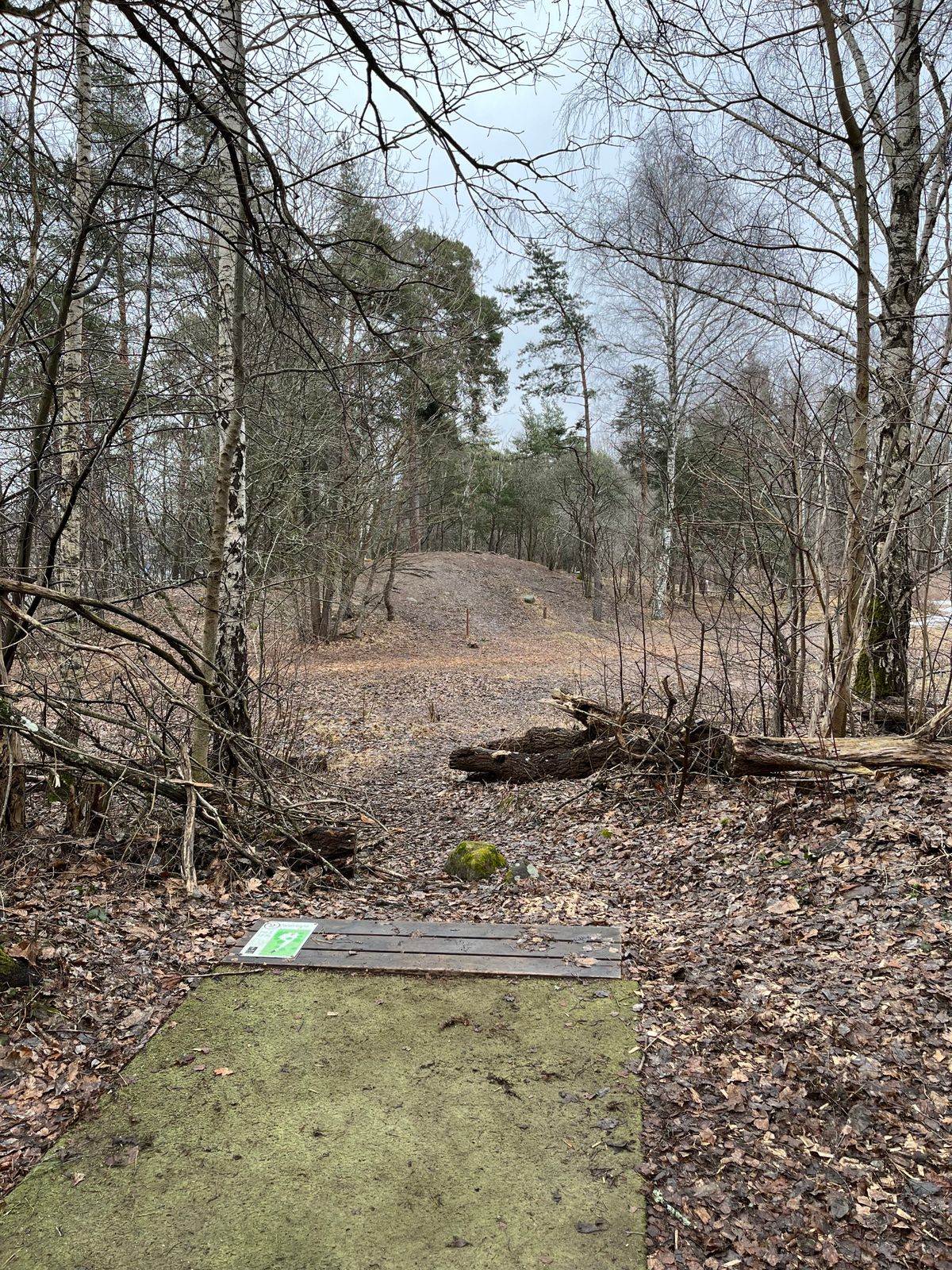 Hål 2 (svart)