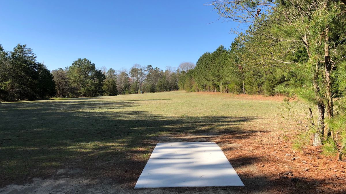 Hole 8