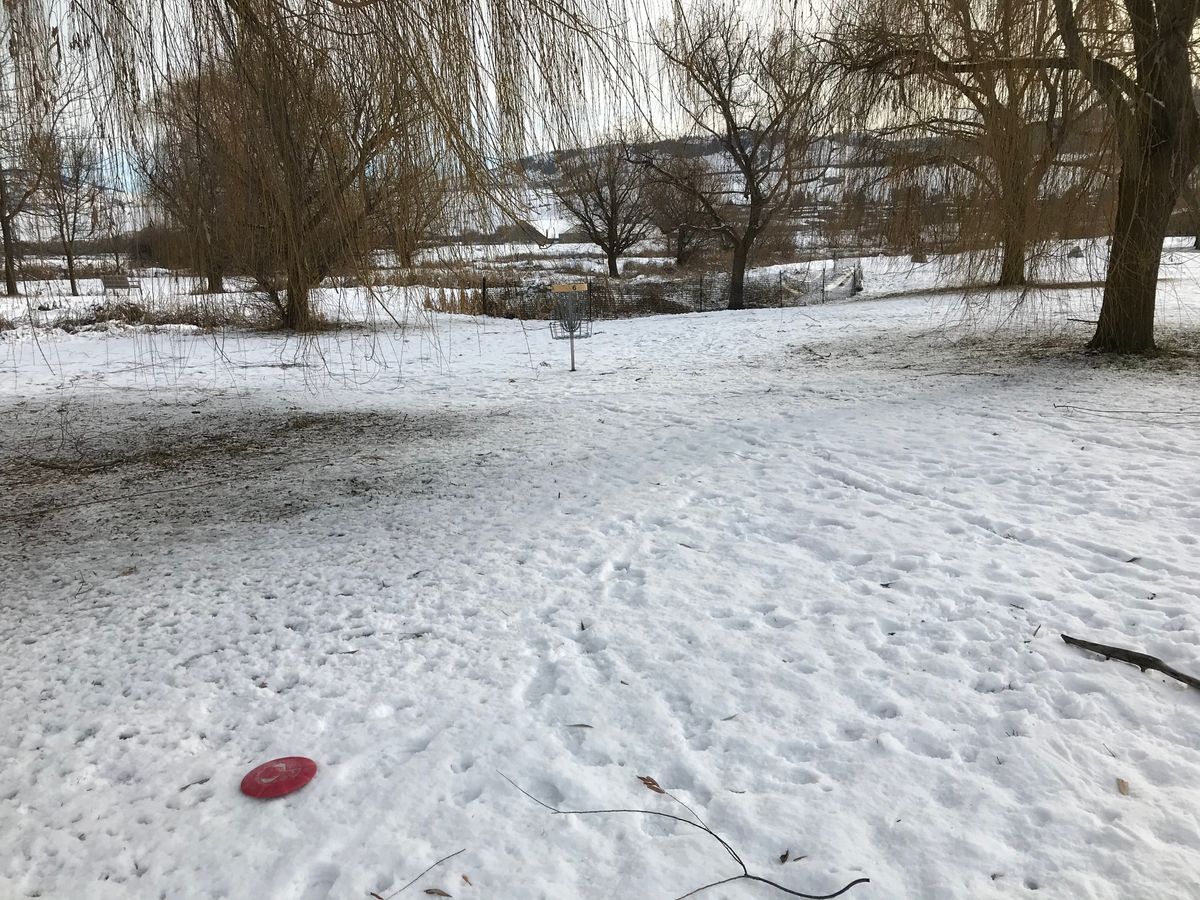 Nice beginner course. Easy to find discs, great condition. Will play again.
