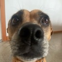 User avatar image