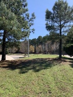 Green and temp basket