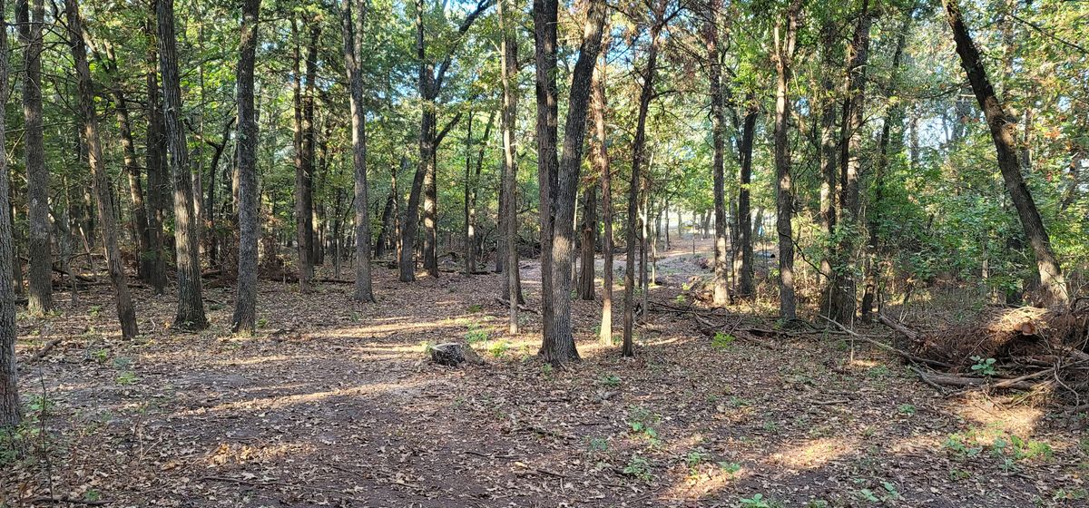 Hole 7 fairway
