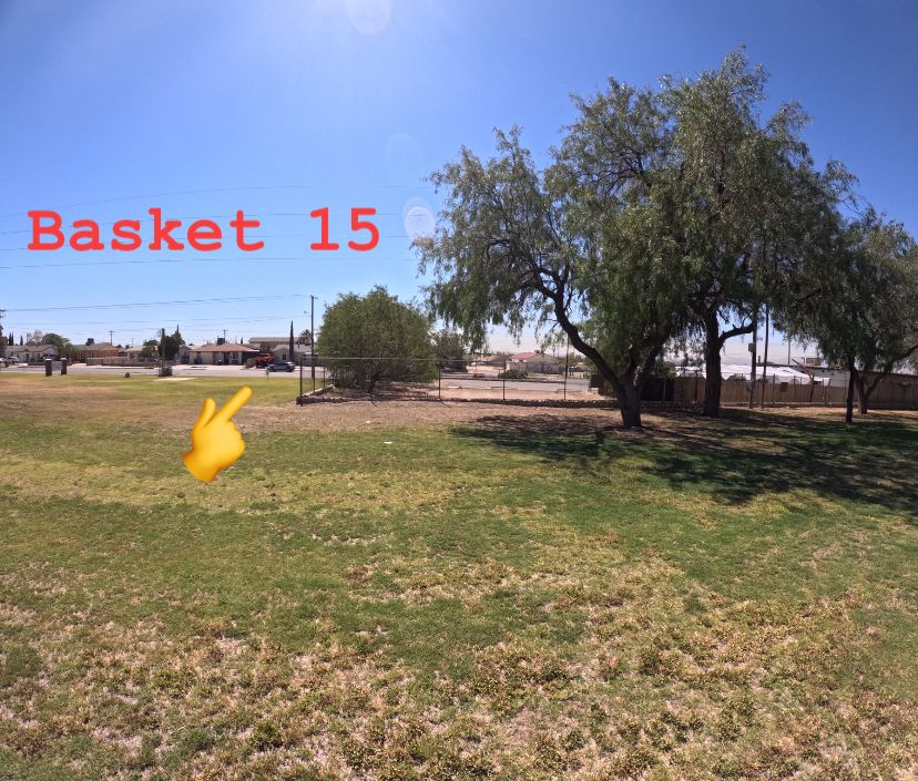 Basket 15