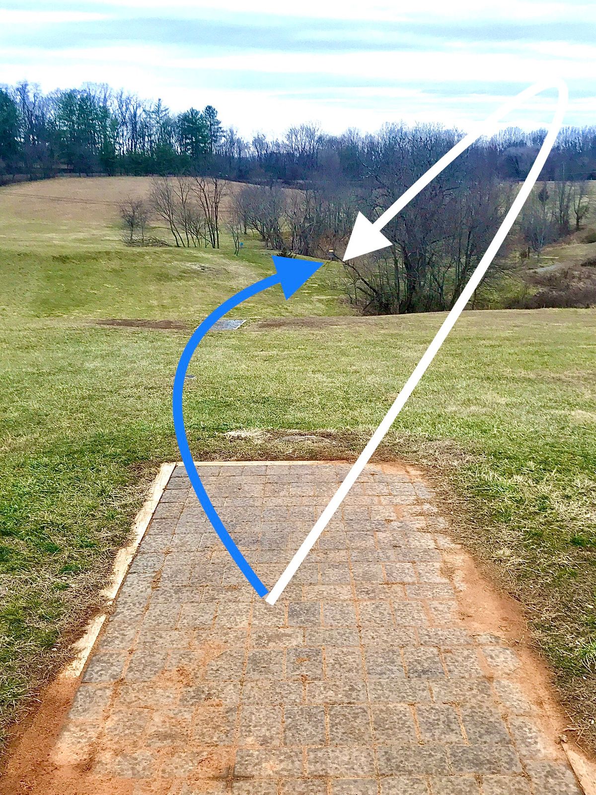 #8 Tee. downhill look @ basket tucked in the back right behind tall tree-line.