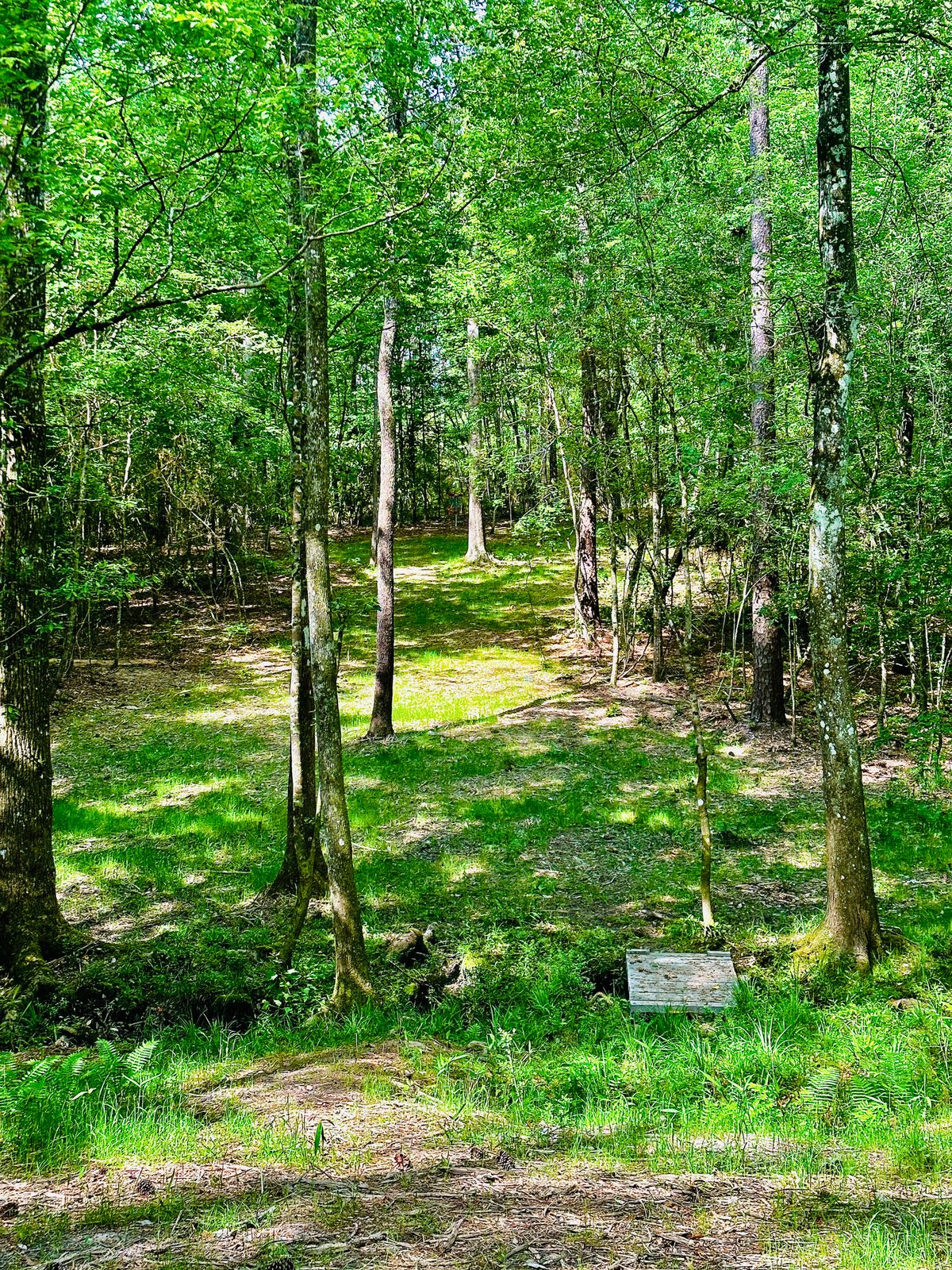 Hole 5