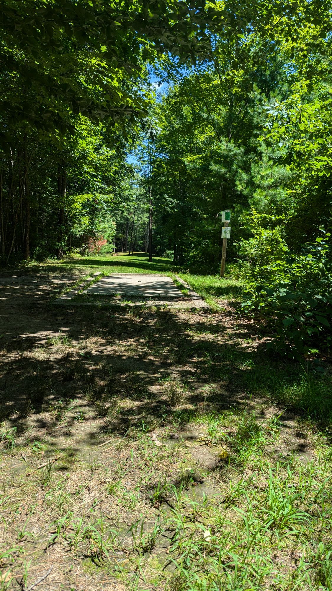 Tee Pad, Modified North Course Hole 7