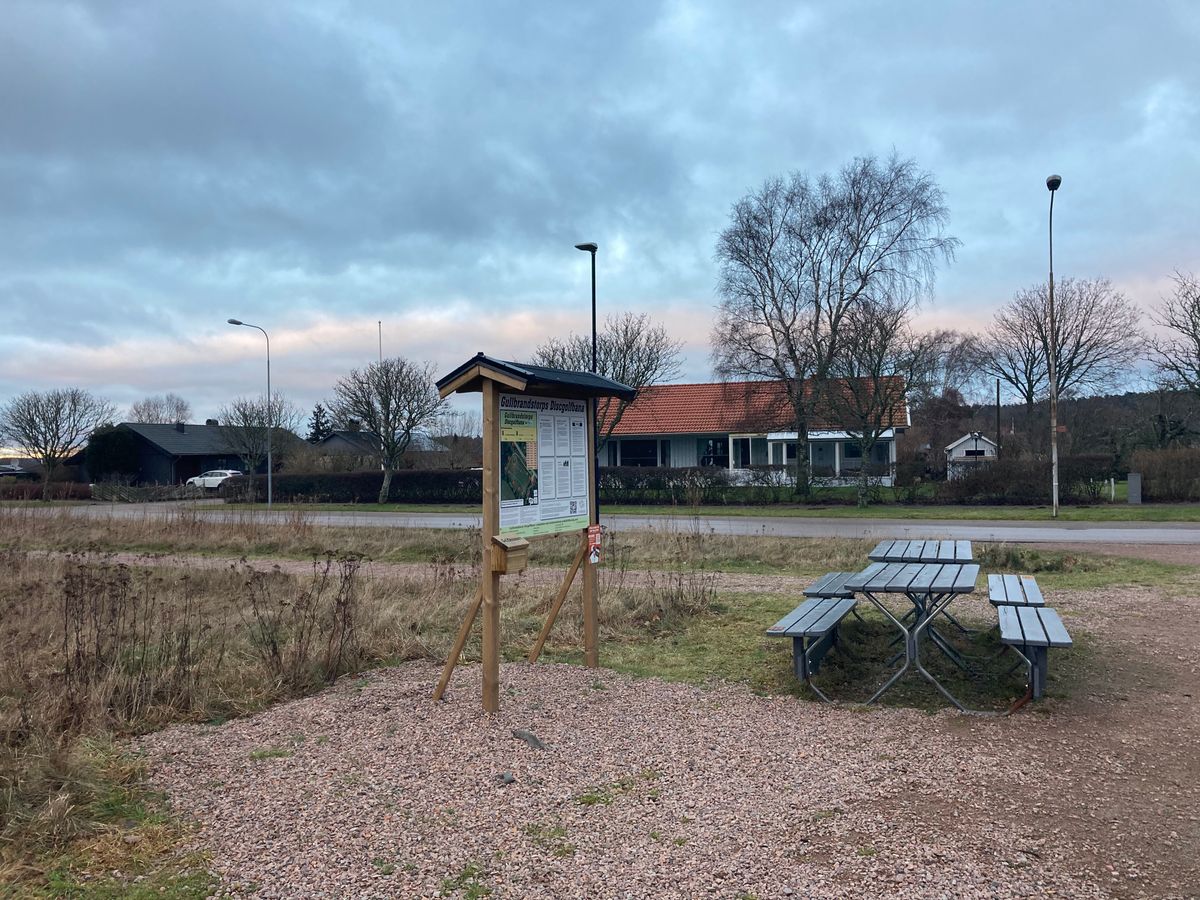 Infotavlan och bänkarna