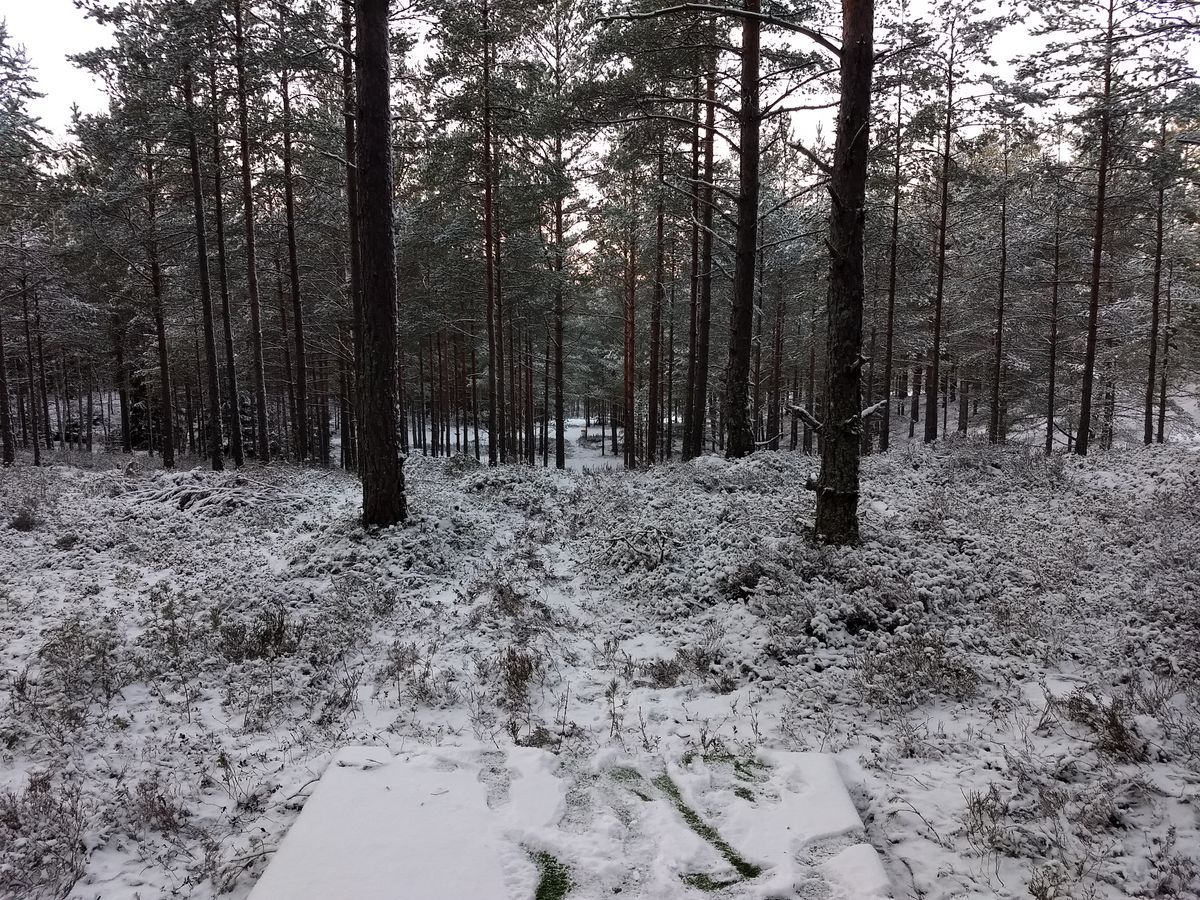 Hål 10