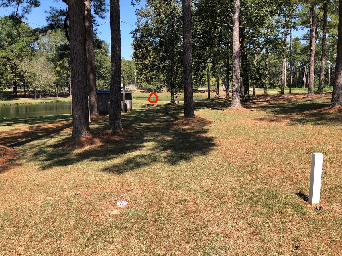 Hole 17 basket on the peninsula.  Go for it!  Water is 1-2’ deep, discs are easily retrieved.