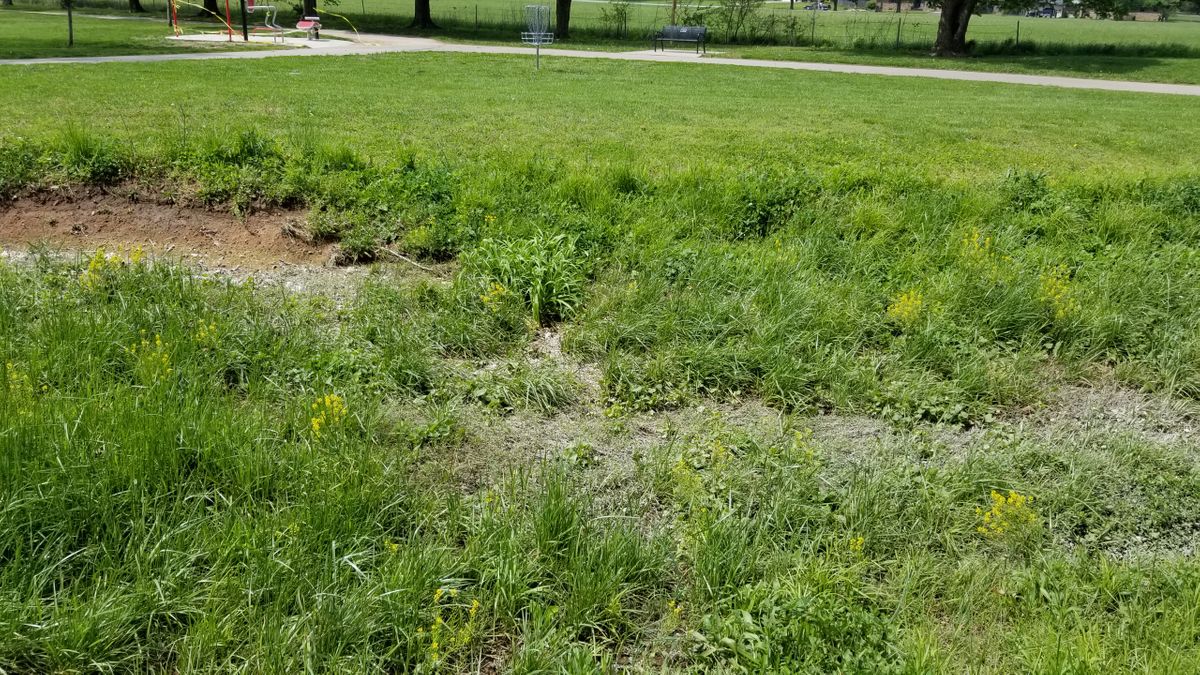 Hole 3 ditch between tee and basket