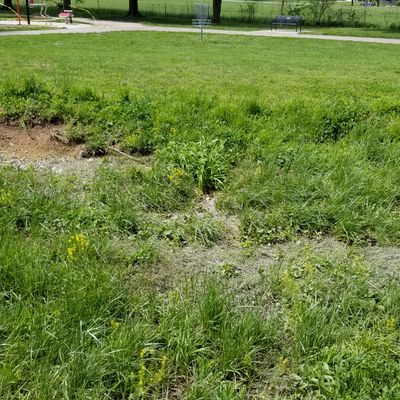 Hole 3 ditch between tee and basket