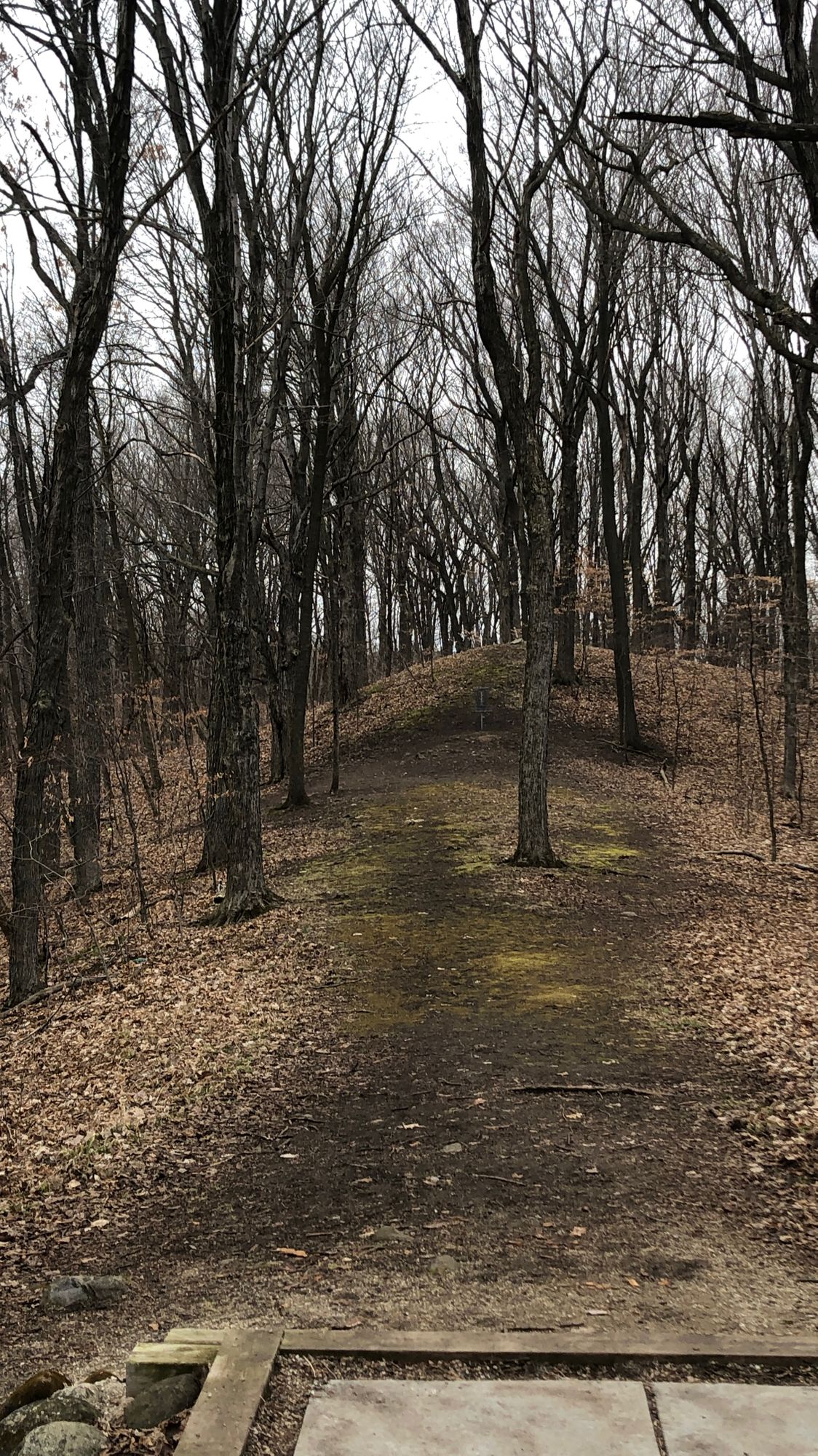 Hole 12.