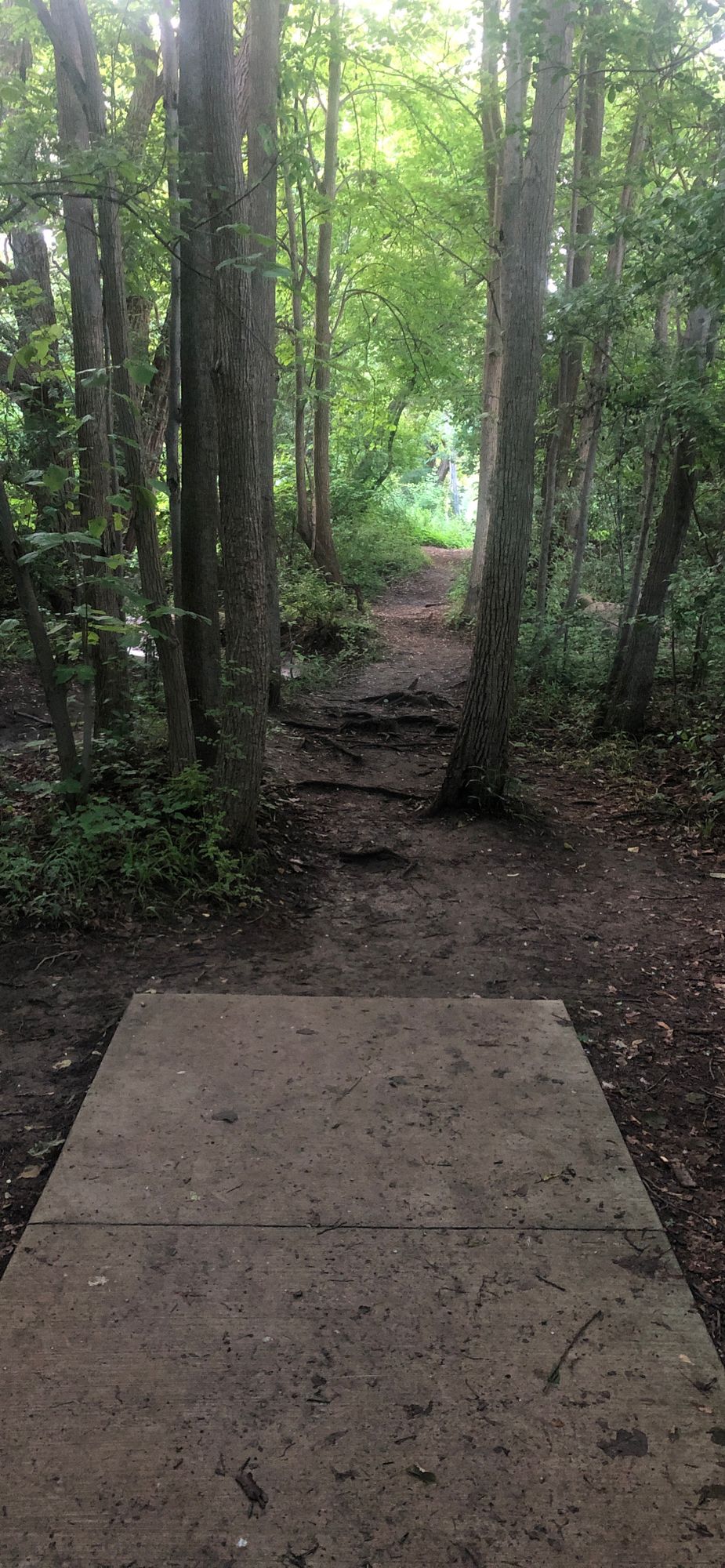 Hole 4 (Longs)