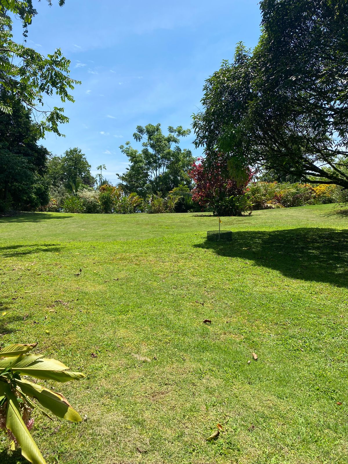 Basket for hole 1
