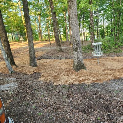 Hole 1 basket.