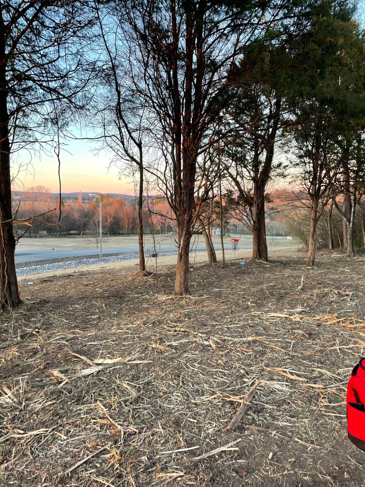 Some of the recent brush cleanup