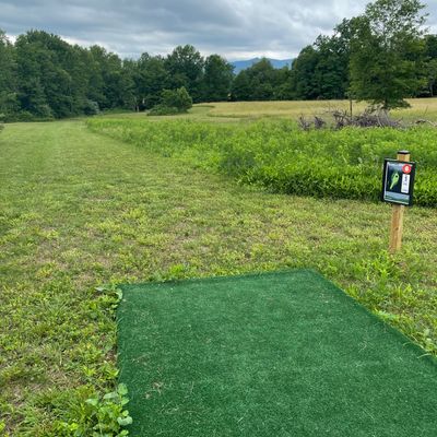 Hole 6 with fairway and green freshly cut