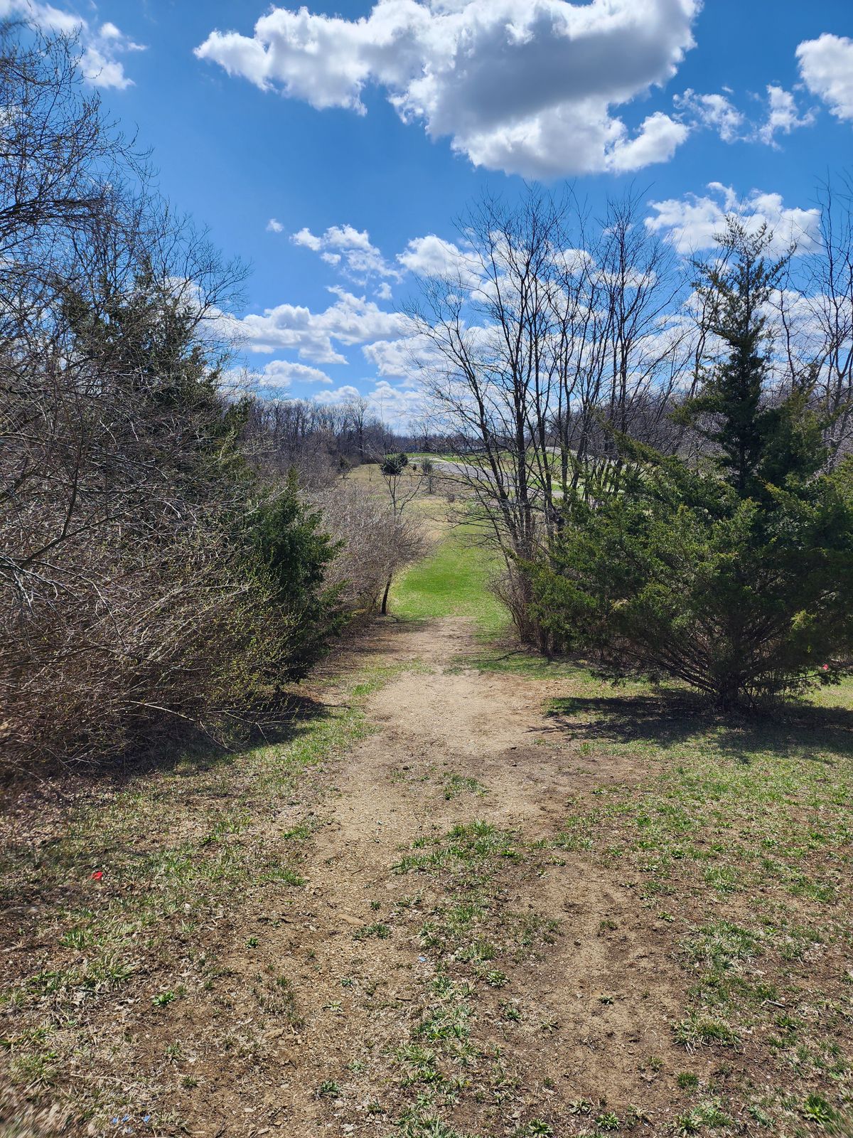 Hole 6