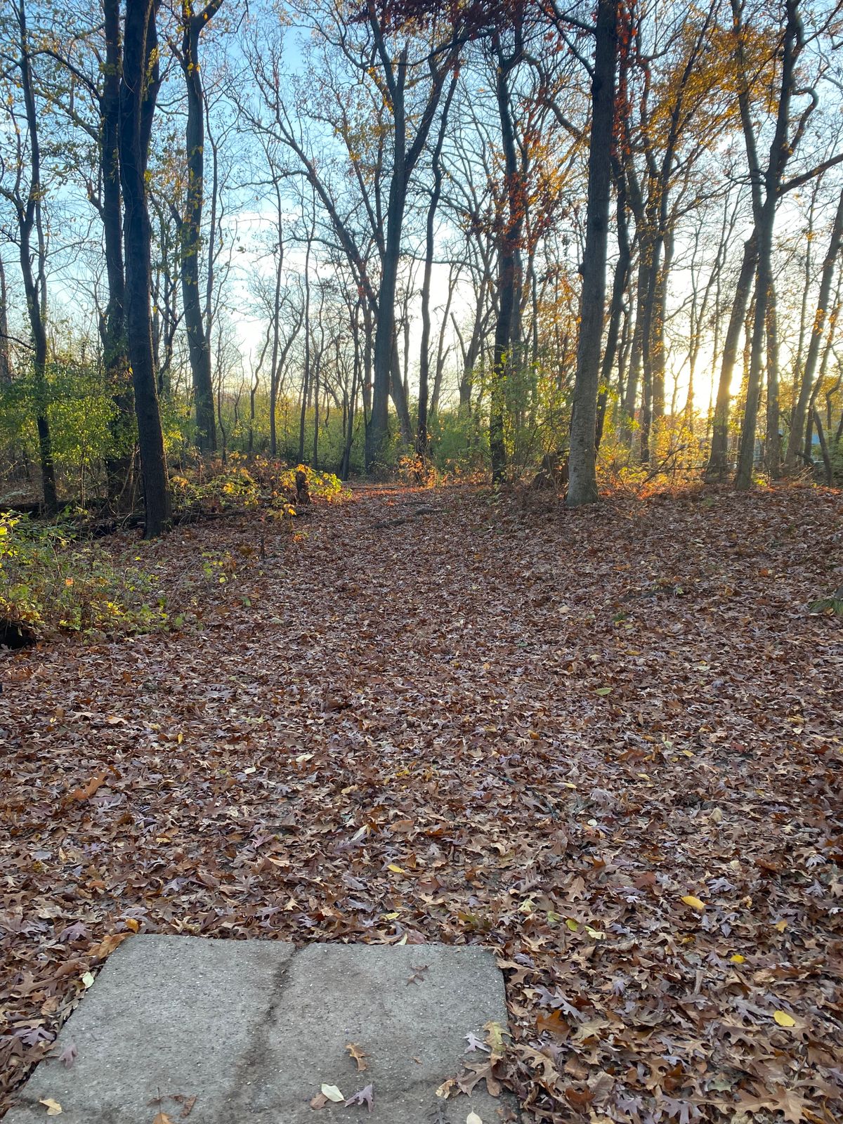 Hole 10 Tee Pad