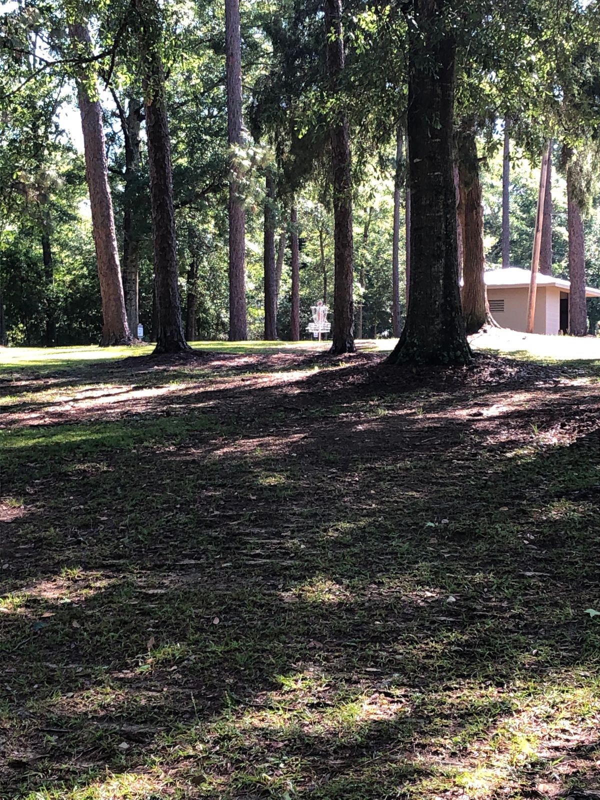 Hole 2