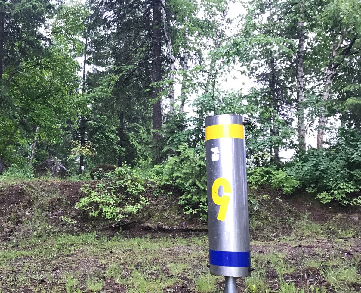 Hole 9 pin