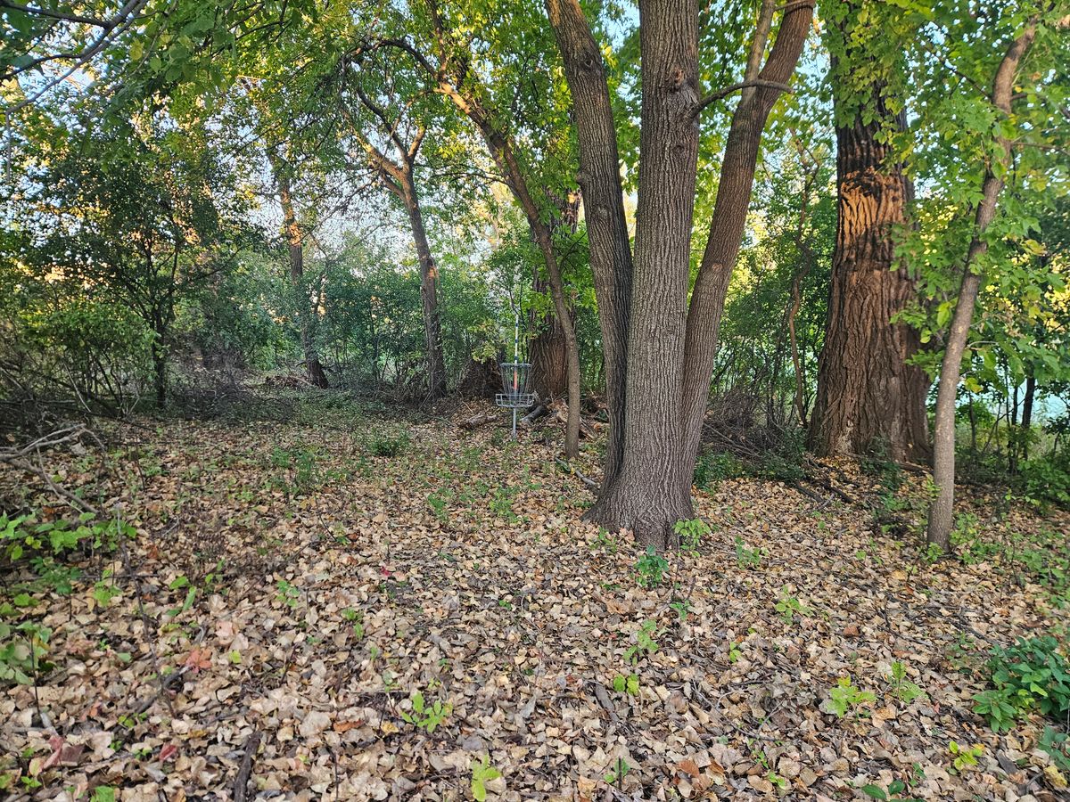 Hole 4 basket