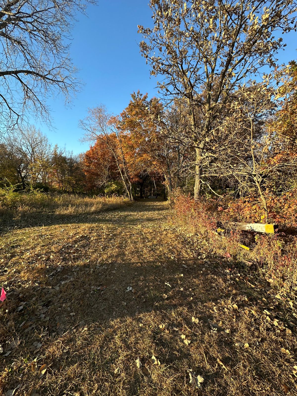 Hole 12. "The gallows". Tunnel downhill. Hanging basket. Creek is OB