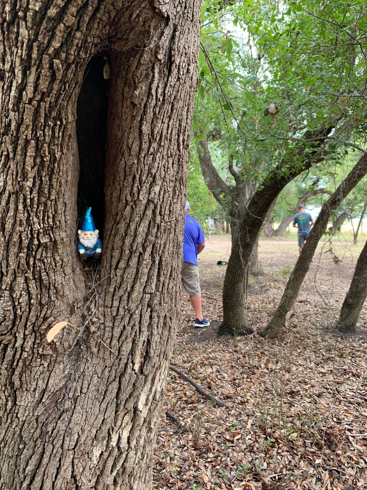 They’re everywhere!