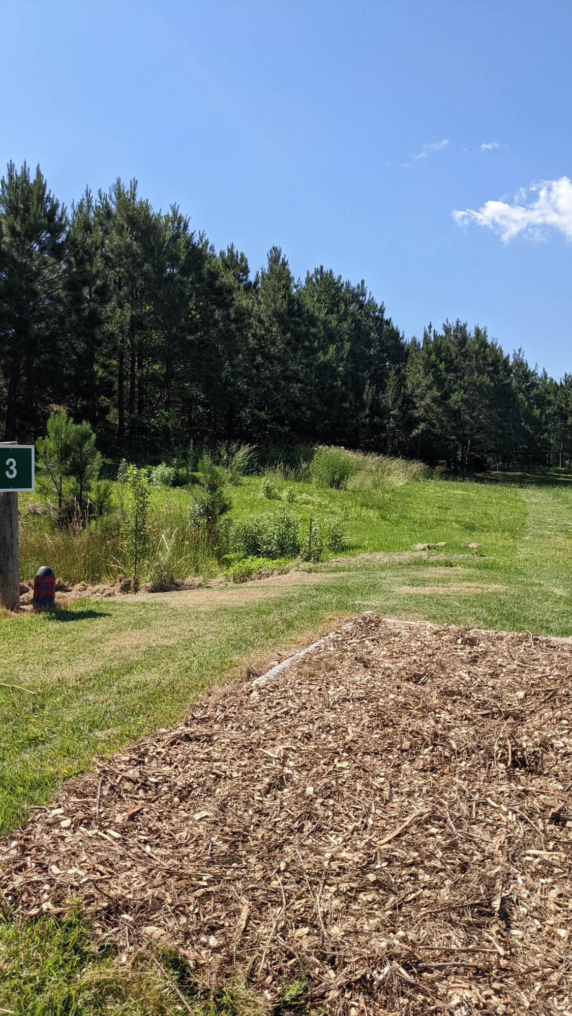 #3 teebox and fairway