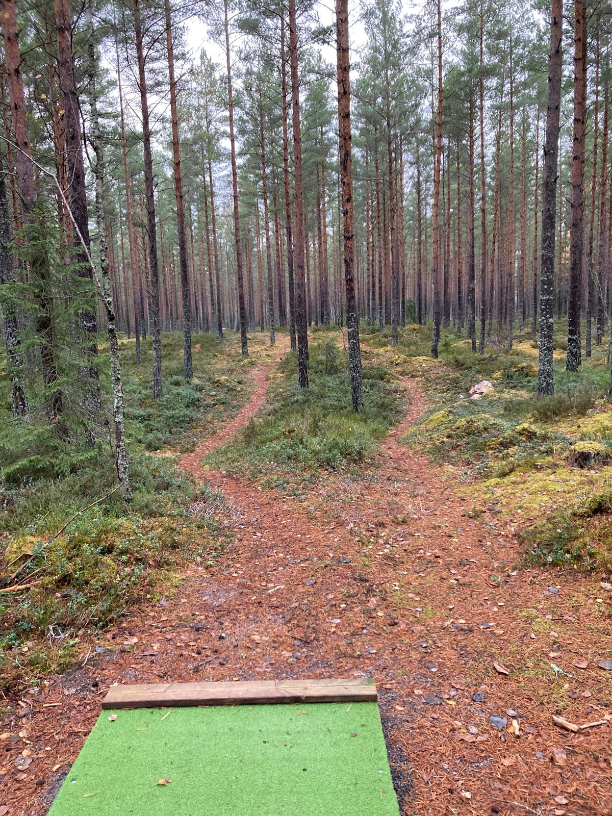 Fairway 17 med två vägar framåt
