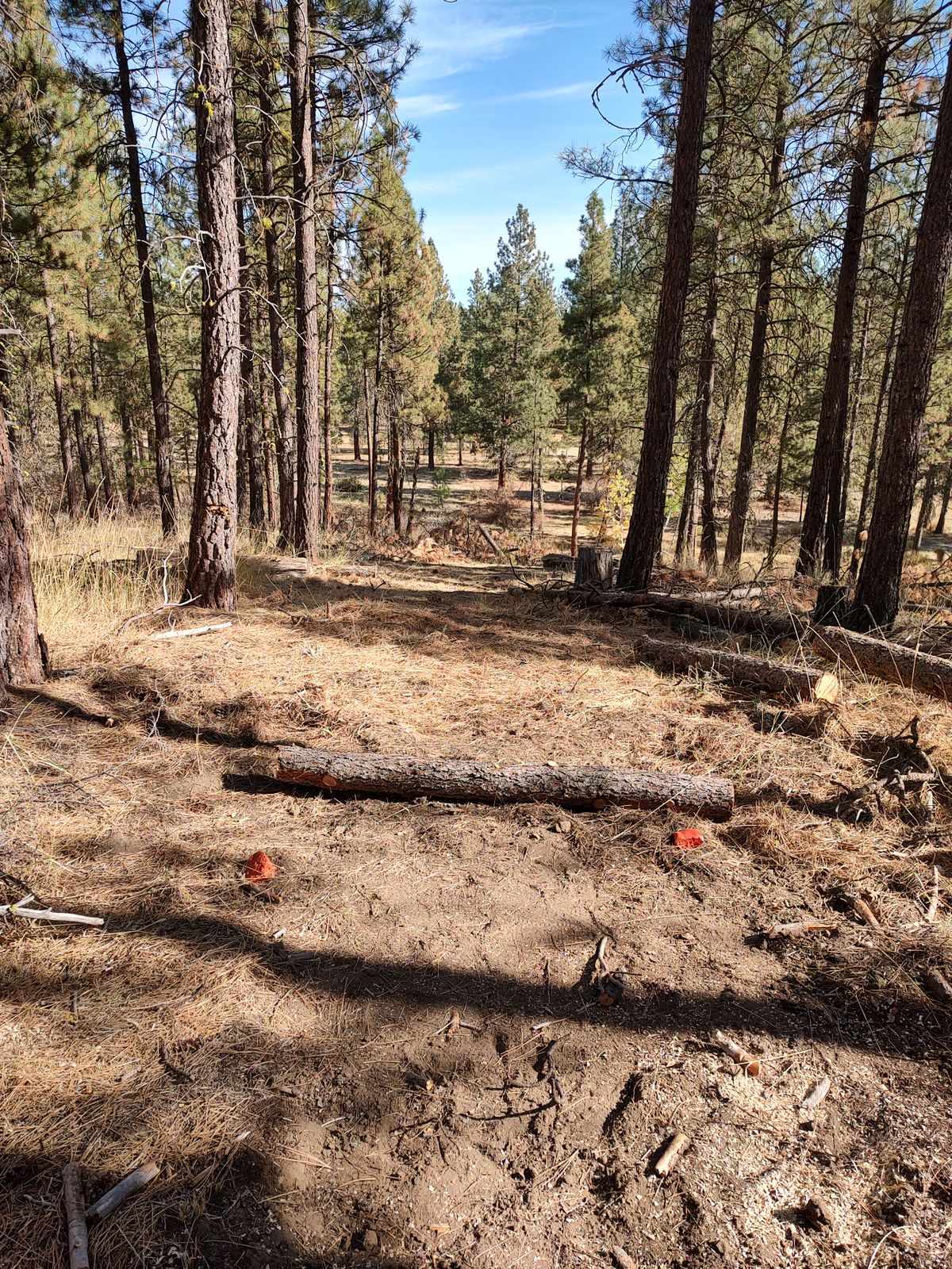 Hole 8 Tee.