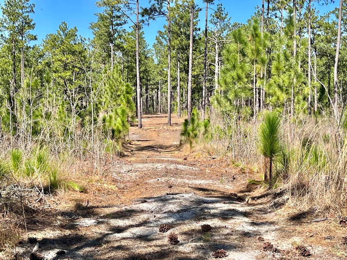 Hole 12