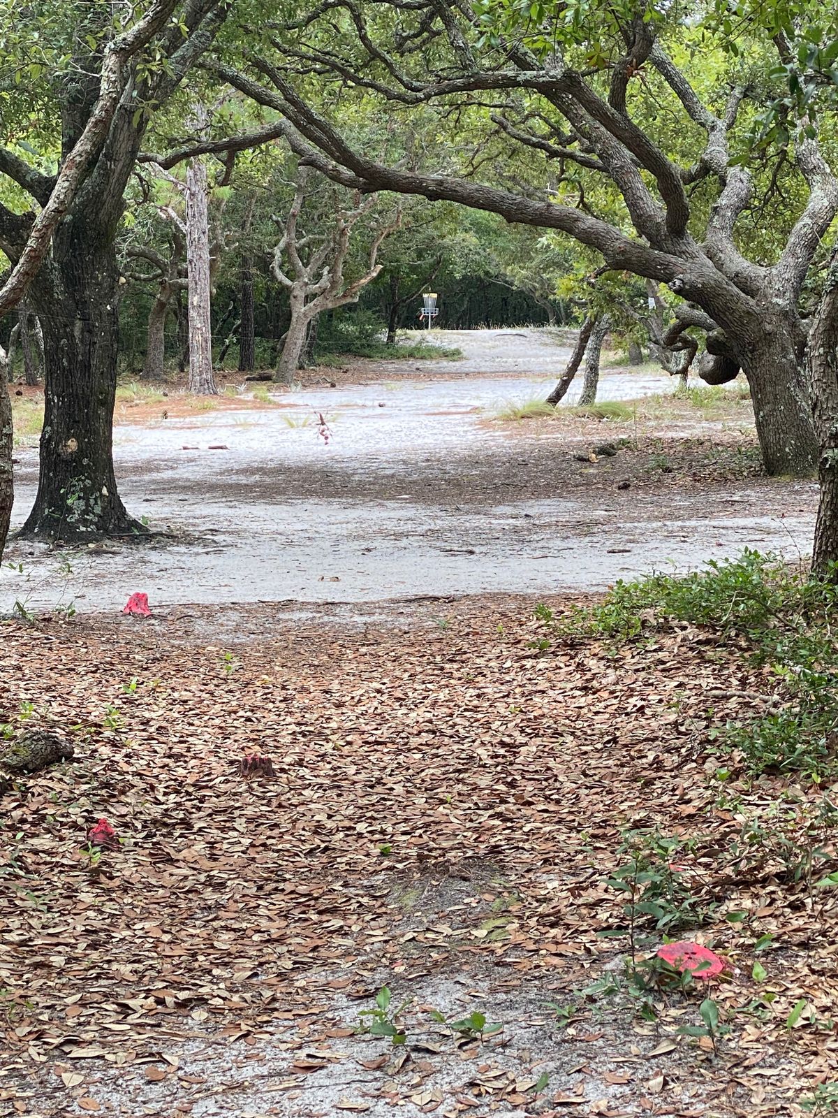 Hole 18 Main Tee (with company)
