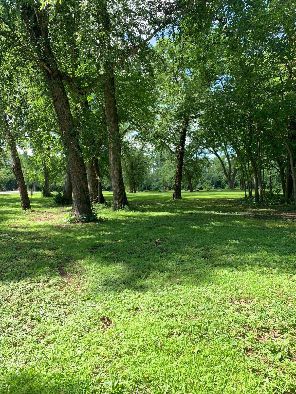 Hole 5 at the curve