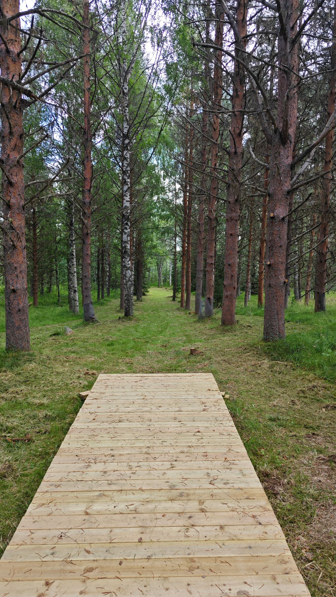 Hål 5. OB i bäcken 