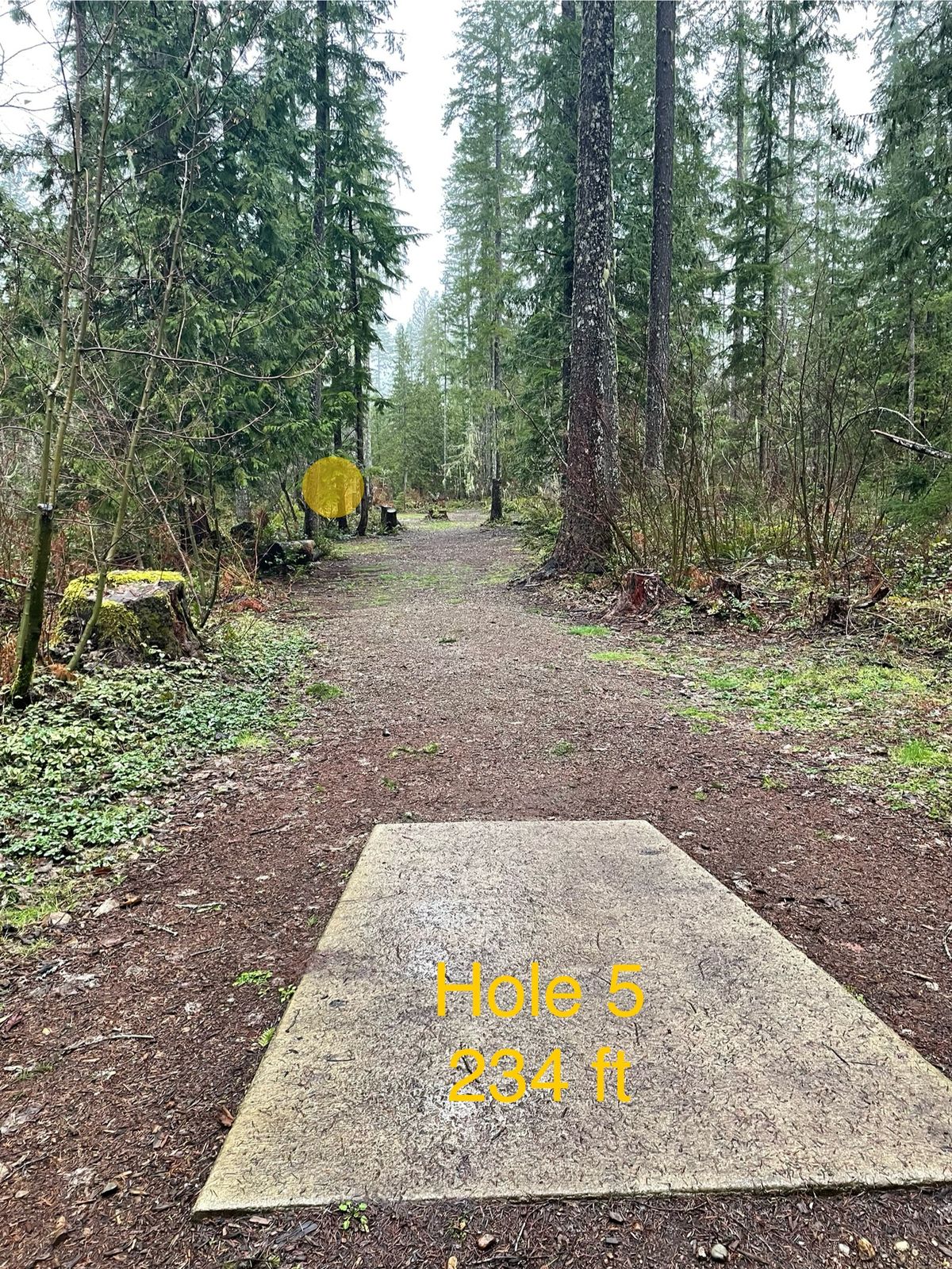 Hole 5