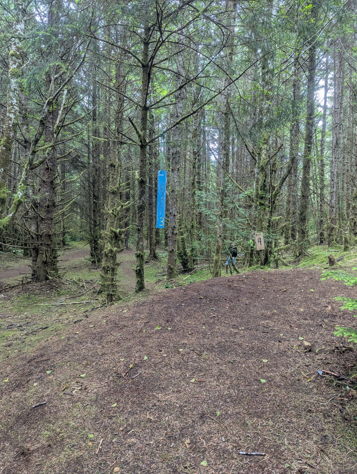 Course photo