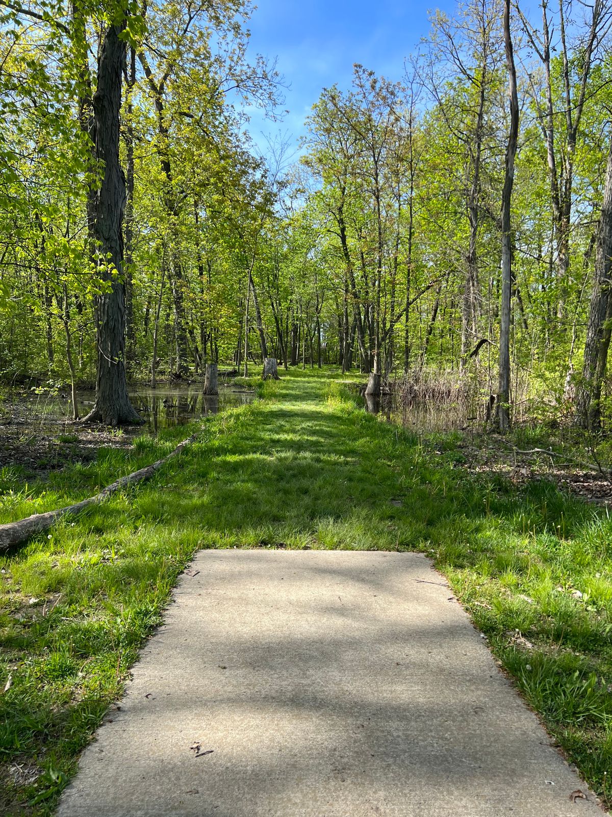 Hole 6 tee