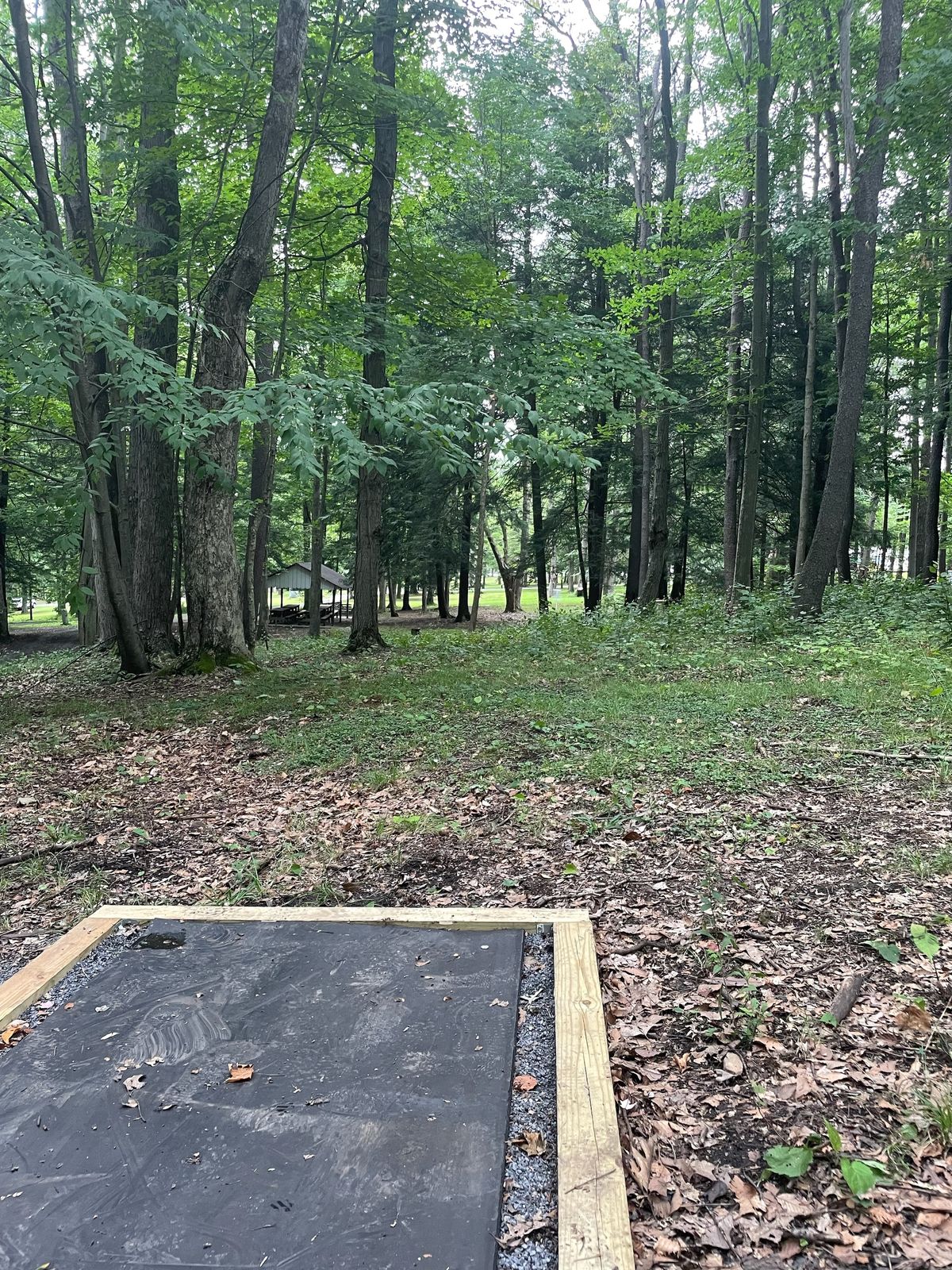 Hole 4 tee pad