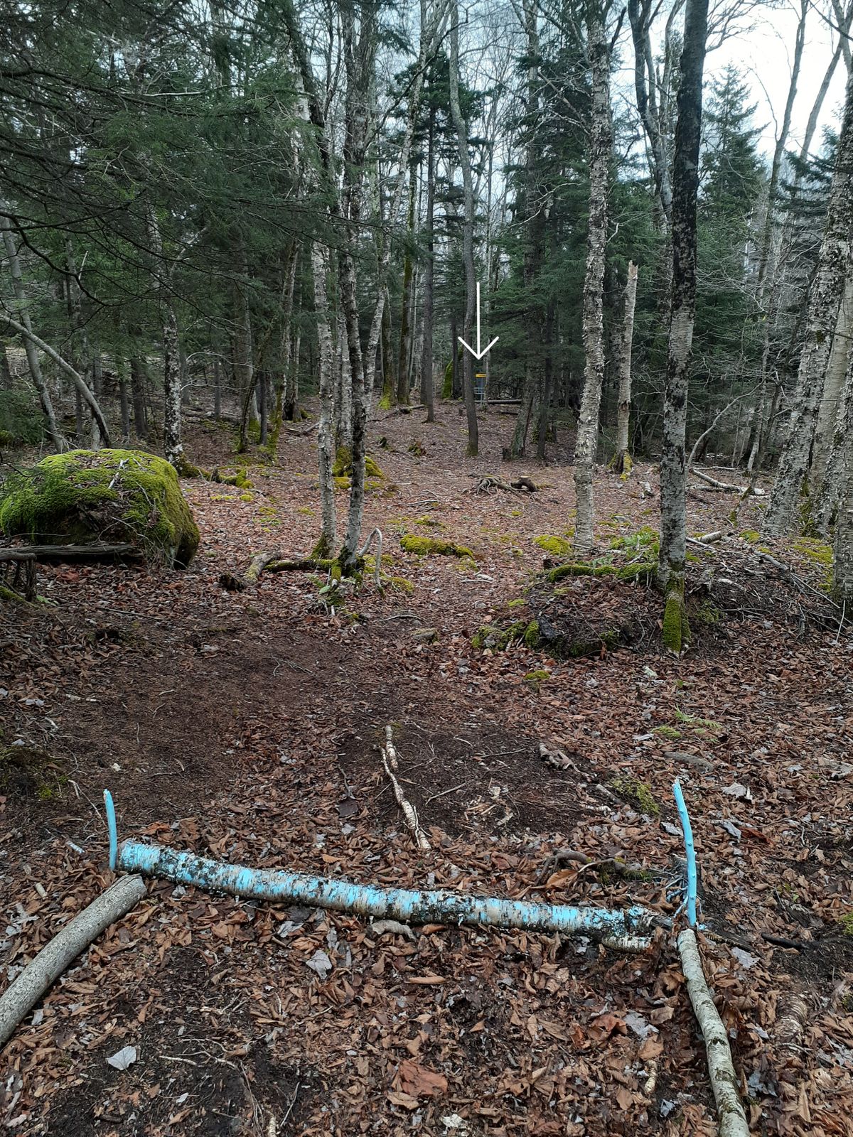 Hole #4