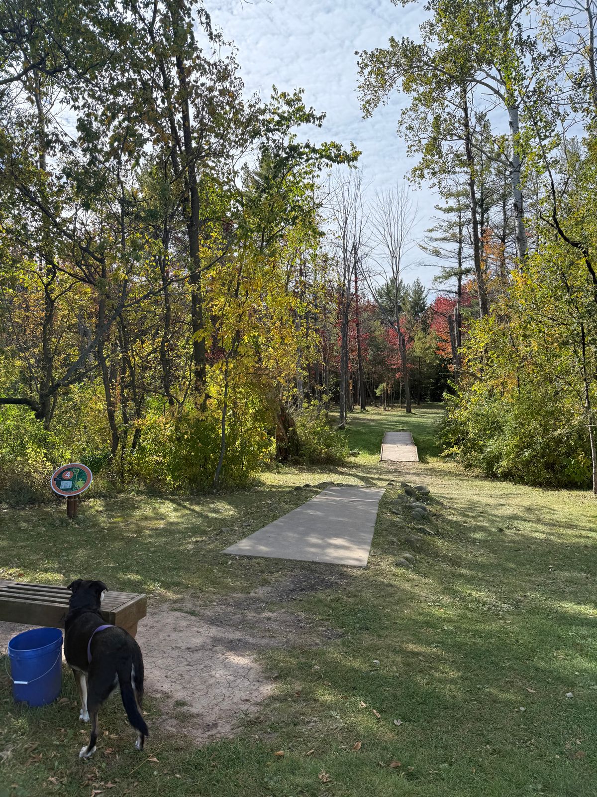 Hole 4