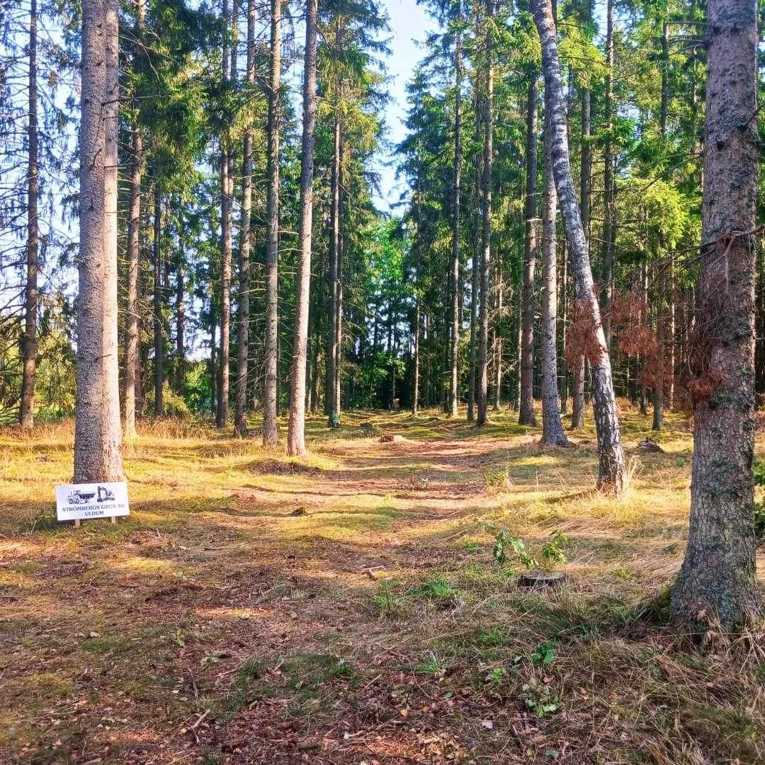 Hål 17