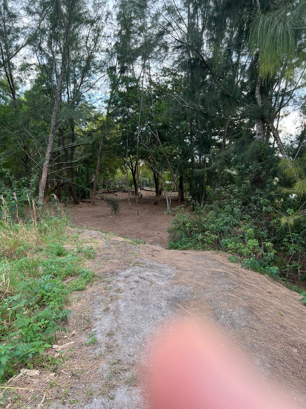Hole 2 from the elevated tee box (if you zoom in you can see my improbable hole in one in the basket