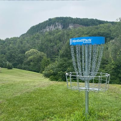 The #6 basket offers a stunning view of the escarpment!