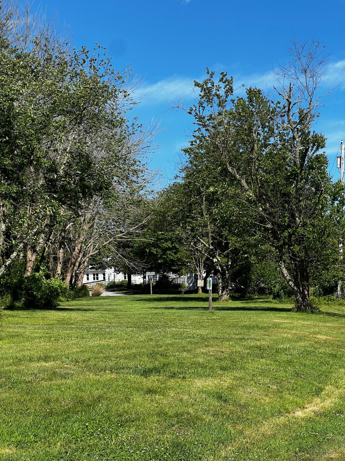 Hole 11