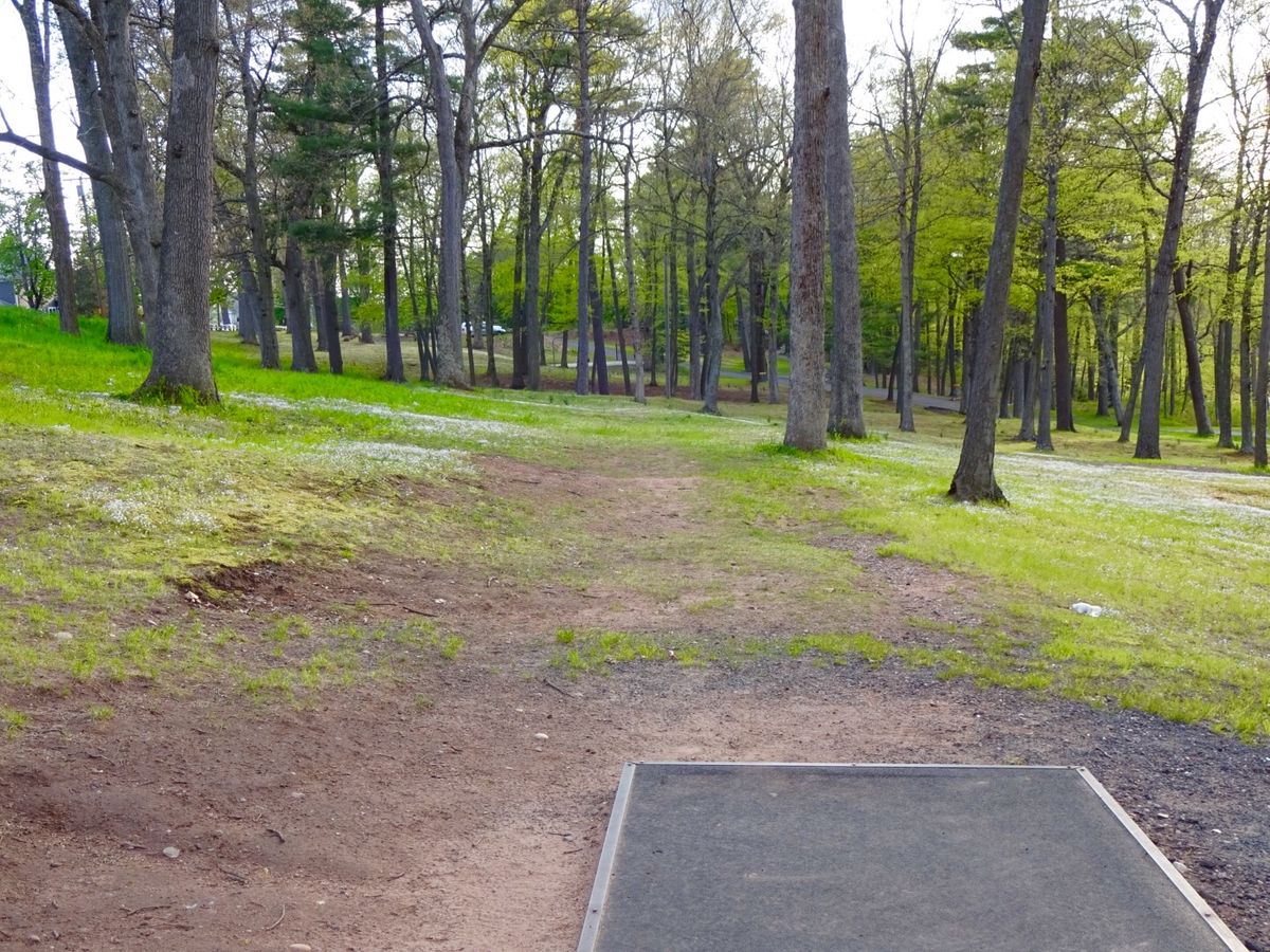 Hole 8A/B tee