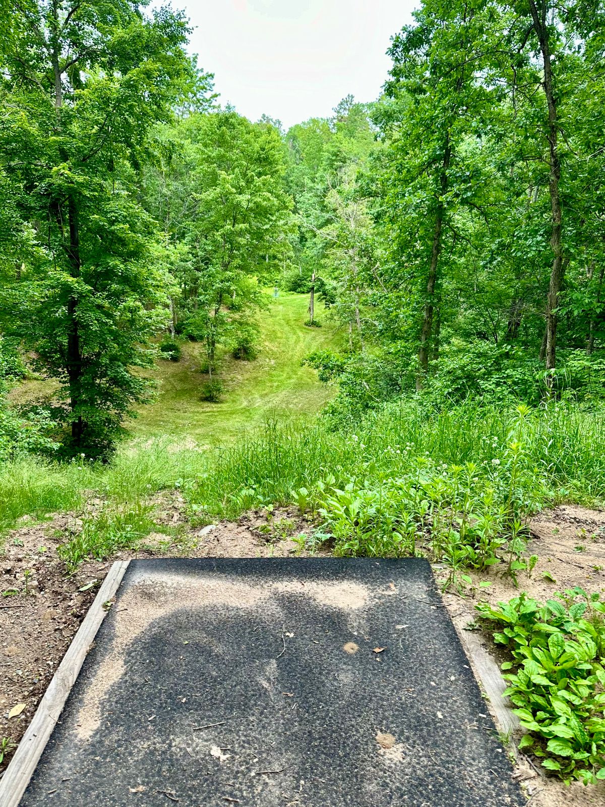 Hole 15