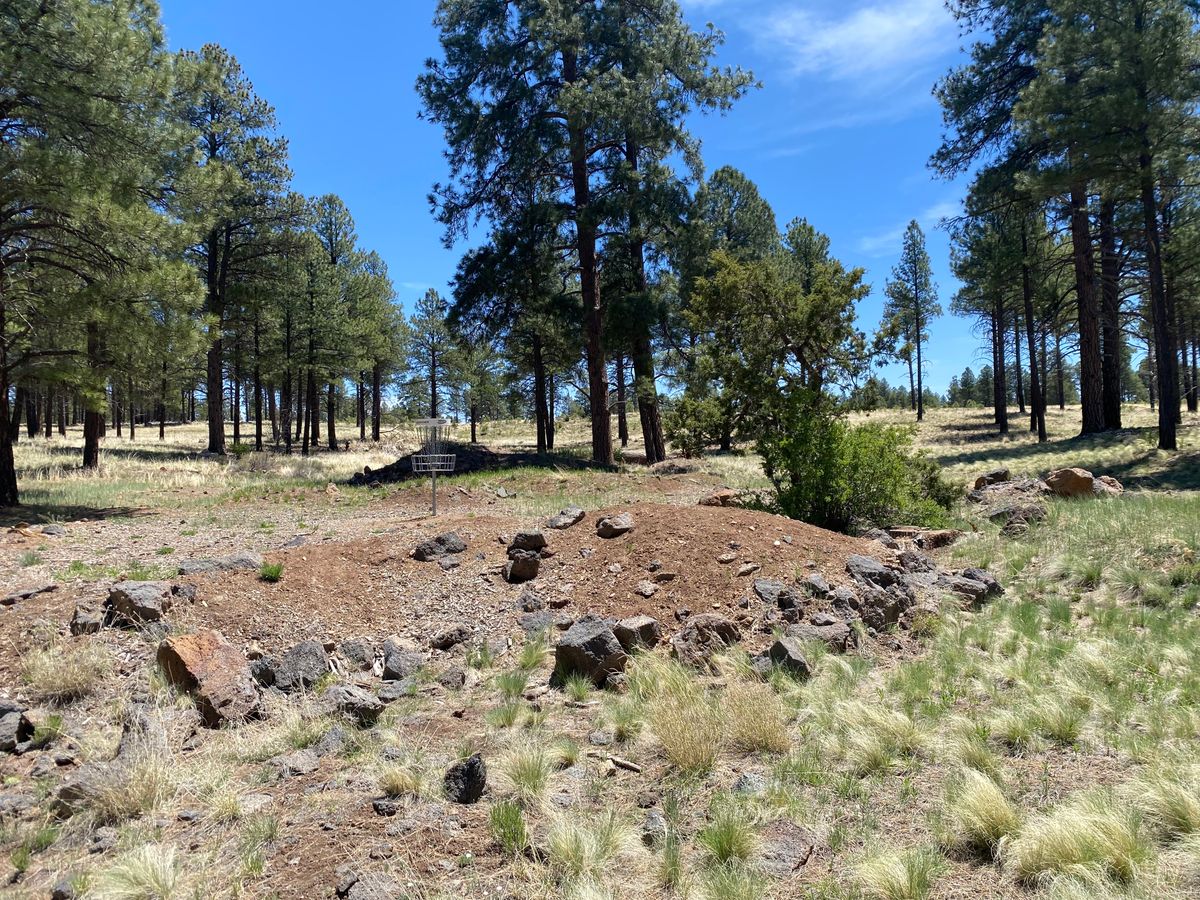 Hole 17 green - looking back towards the tee.